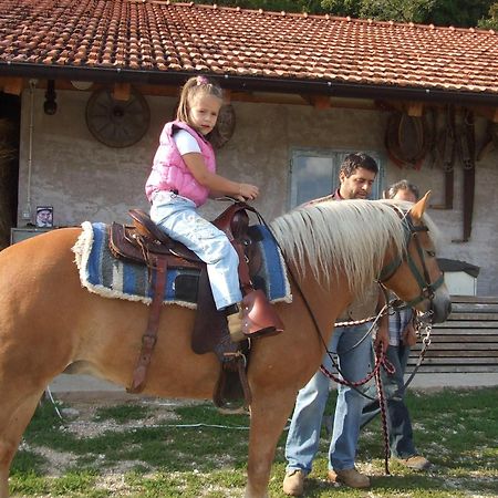 Agritur Le Pergole Hotel Villa Lagarina Eksteriør billede