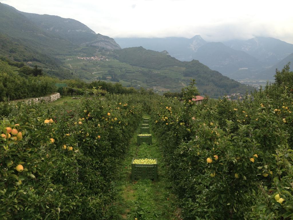 Agritur Le Pergole Hotel Villa Lagarina Eksteriør billede