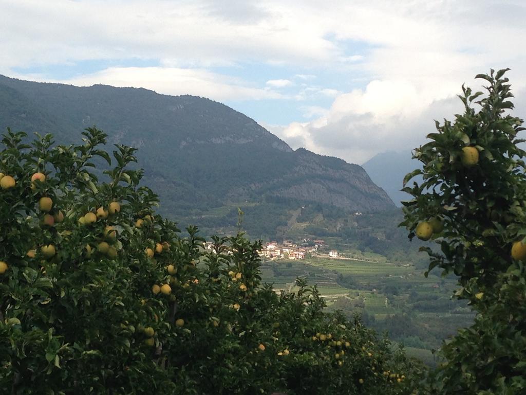 Agritur Le Pergole Hotel Villa Lagarina Eksteriør billede