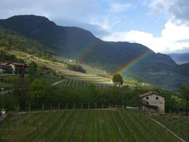 Agritur Le Pergole Hotel Villa Lagarina Eksteriør billede