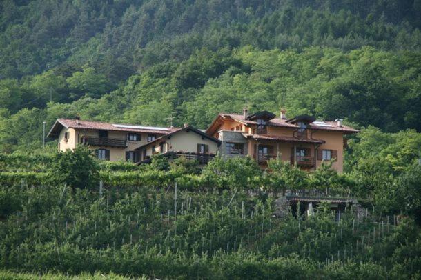 Agritur Le Pergole Hotel Villa Lagarina Eksteriør billede